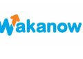 Wakanow Partners with Akwaaba African Travel Market 2025